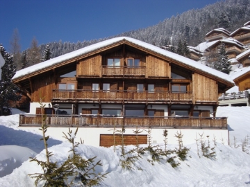 Chalet Palmer south facing